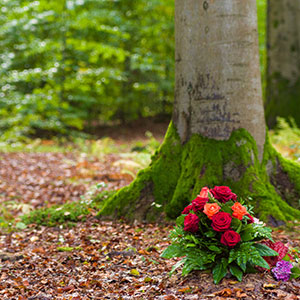 Baumbestattung, Naturbestattung - Bastattung Taucher